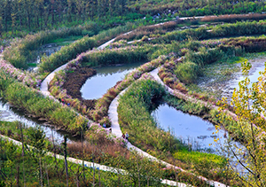 liupanshui