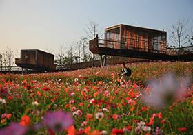 Quzhou Luming Park