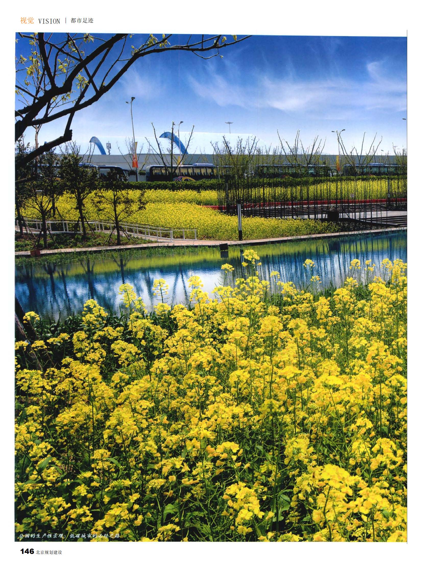 2020世博后滩湿地公园-旅游攻略-门票-地址-问答-游记点评，上海旅游旅游景点推荐-去哪儿攻略