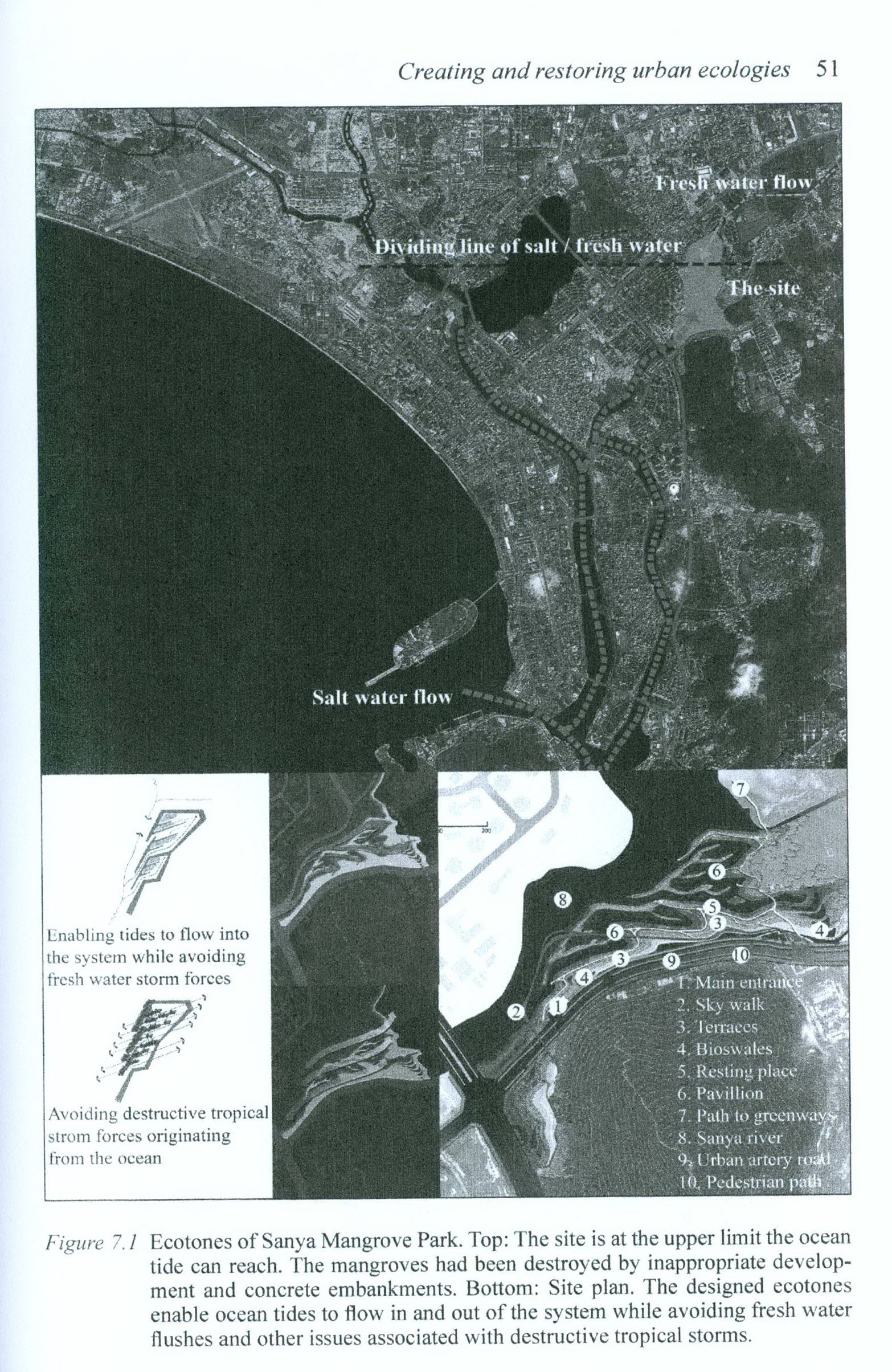 Creating And Restoring Urban Ecologies Case Studies In China