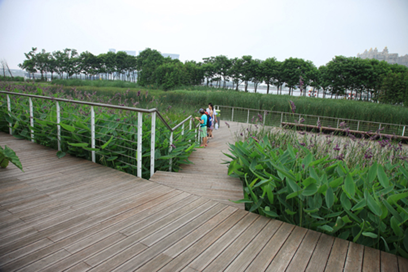 上海世博后滩公园