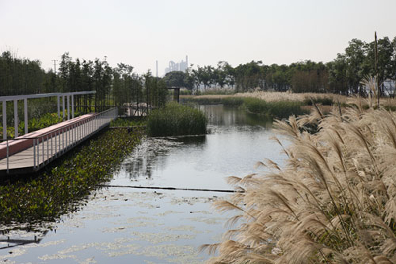 上海世博后滩公园